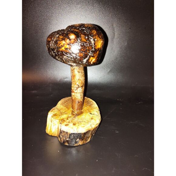 Handcrafted Mushroom/Tree Art Made from Small Live Oak Burl - Unique and Rustic - Picture 10 of 11